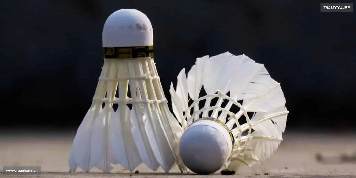 为什么选择我们